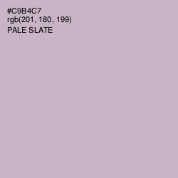 #C9B4C7 - Pale Slate Color Image